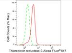 TrxR2 Antibody in Flow Cytometry (Flow)