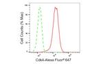 CDK4 Antibody in Flow Cytometry (Flow)