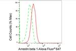 beta Arrestin 1 Antibody in Flow Cytometry (Flow)