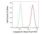 Caspase 9 Antibody in Flow Cytometry (Flow)