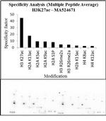 H3K27ac Antibody in Peptide array (Array)