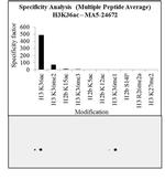 H3K36ac Antibody in Peptide array (Array)