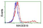 MAGEB18 Antibody in Flow Cytometry (Flow)