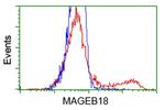 MAGEB18 Antibody in Flow Cytometry (Flow)