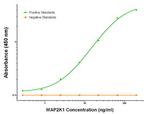 MAP2K1 Antibody in ELISA (ELISA)