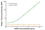 MAPK1 Antibody in Luminex (LUM)