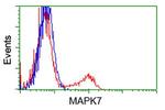 MAPK7 Antibody in Flow Cytometry (Flow)