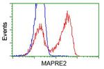 EB2 (MAPRE2) Antibody in Flow Cytometry (Flow)