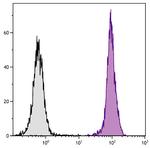 CD45.1 Antibody in Flow Cytometry (Flow)