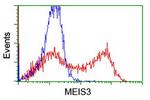 MEIS3 Antibody in Flow Cytometry (Flow)