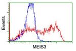 MEIS3 Antibody in Flow Cytometry (Flow)