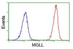MGLL Antibody in Flow Cytometry (Flow)