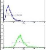 MGMT Antibody in Flow Cytometry (Flow)