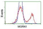 MGRN1 Antibody in Flow Cytometry (Flow)