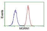 MGRN1 Antibody in Flow Cytometry (Flow)