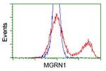 MGRN1 Antibody in Flow Cytometry (Flow)