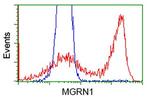 MGRN1 Antibody in Flow Cytometry (Flow)