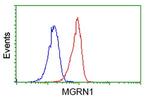 MGRN1 Antibody in Flow Cytometry (Flow)