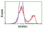 MGRN1 Antibody in Flow Cytometry (Flow)