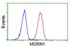 MGRN1 Antibody in Flow Cytometry (Flow)