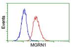 MGRN1 Antibody in Flow Cytometry (Flow)