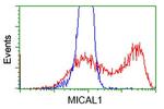 MICAL1 Antibody in Flow Cytometry (Flow)