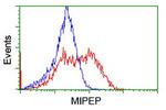 MIPEP Antibody in Flow Cytometry (Flow)
