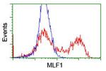 MLF1 Antibody in Flow Cytometry (Flow)