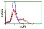 MLF1 Antibody in Flow Cytometry (Flow)