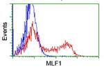 MLF1 Antibody in Flow Cytometry (Flow)