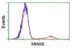 MMAB Antibody in Flow Cytometry (Flow)