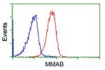 MMAB Antibody in Flow Cytometry (Flow)