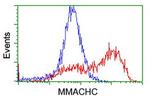 MMACHC Antibody in Flow Cytometry (Flow)