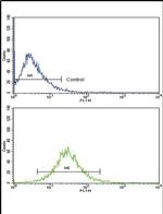 MMP3 Antibody in Flow Cytometry (Flow)