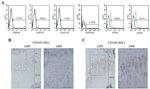 CD45 Antibody in Flow Cytometry (Flow)