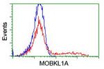 MOBKL1A Antibody in Flow Cytometry (Flow)