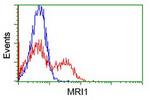 MRI1 Antibody in Flow Cytometry (Flow)