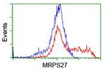 MRPS27 Antibody in Flow Cytometry (Flow)