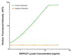 MRPS27 Antibody in Luminex (LUM)