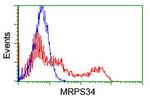 MRPS34 Antibody in Flow Cytometry (Flow)