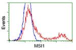 MSI1 Antibody in Flow Cytometry (Flow)