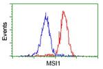 MSI1 Antibody in Flow Cytometry (Flow)