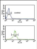 MTHFD2 Antibody in Flow Cytometry (Flow)