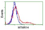 MTMR14 Antibody in Flow Cytometry (Flow)