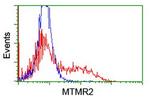 MTMR2 Antibody in Flow Cytometry (Flow)