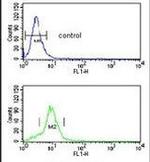 MUTYH Antibody in Flow Cytometry (Flow)