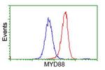 MYD88 Antibody in Flow Cytometry (Flow)