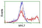 MYL7 Antibody in Flow Cytometry (Flow)