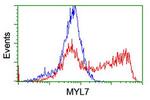 MYL7 Antibody in Flow Cytometry (Flow)