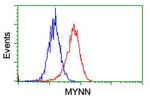 MYNN Antibody in Flow Cytometry (Flow)